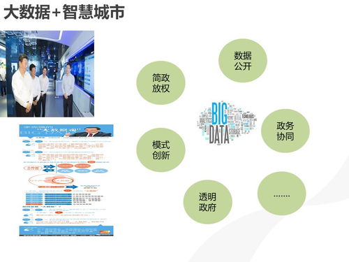 智慧城市大数据应用解决方案与物联网服务引领未来